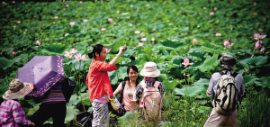 海南休閑農業面臨客源零散等困局 不該只是