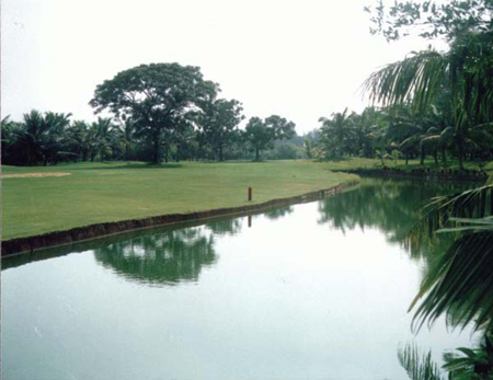 海南八大時尚個性高球天地推薦