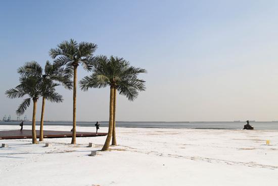 這個冬天，秦皇島海岸現(xiàn)“冰海”奇觀