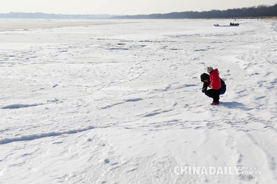 這個冬天，秦皇島海岸現“冰海”奇觀