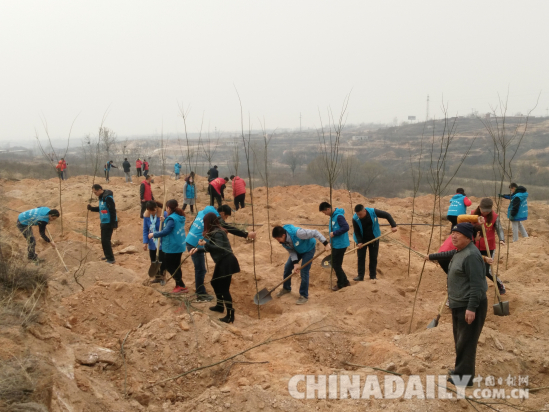 邢臺市愛心組織“慈行邢臺”植樹節(jié)義務(wù)植樹千余棵