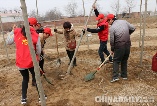 愛心志愿者義務(wù)植樹150顆 播下希望種子共建幸福林