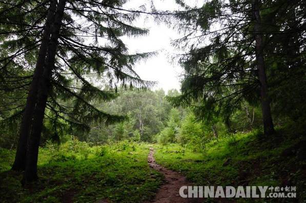 平泉縣林業局建立巡察工作制度 從嚴管理成為新常態