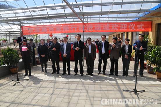 京津冀百家旅行社走進河北鷹城山楂小鎮