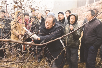 “數”說一生精彩 “抒”寫為農情懷