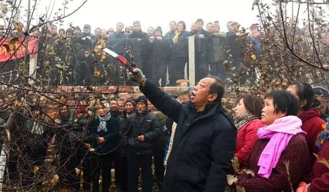 一個(gè)“農(nóng)民教授”，為何感動(dòng)了百萬(wàn)河北人