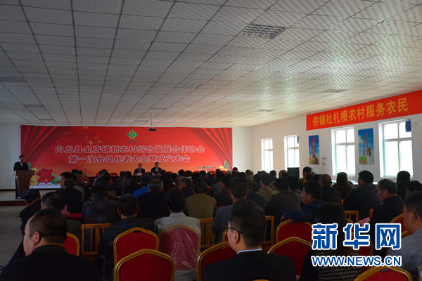 國內(nèi)首家由供銷社領(lǐng)辦的新農(nóng)協(xié)在邢臺內(nèi)丘成立