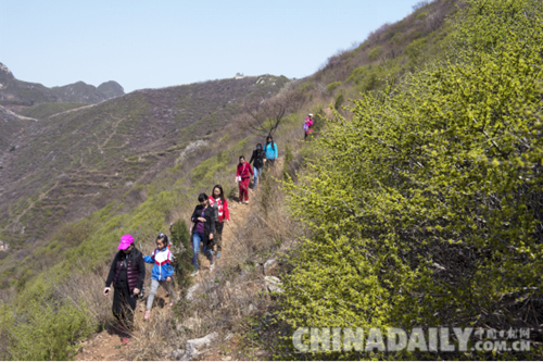 唐山遷安:野綠引得游人醉