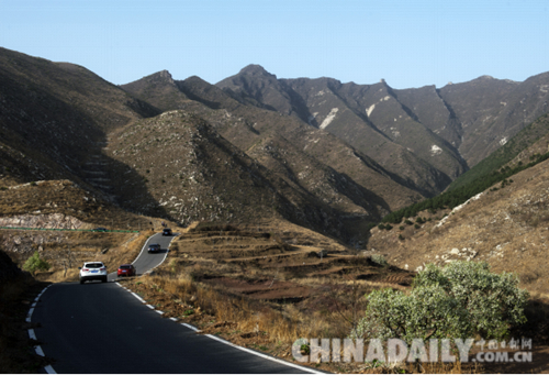 唐山遷安:野綠引得游人醉