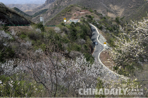 唐山遷安:野綠引得游人醉