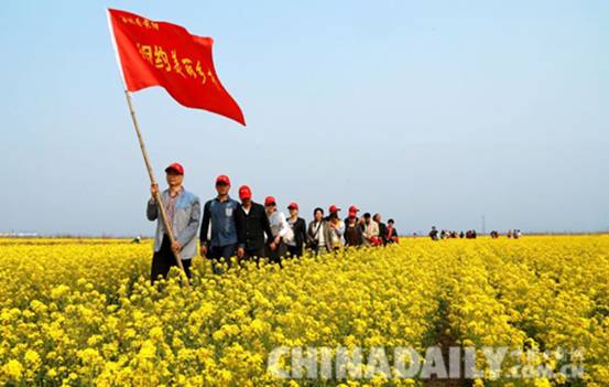 滄州黃驊百姓家門口組團賞美景