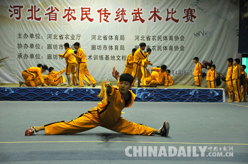 2016年河北省農民傳統武術比賽在文安縣拉開帷幕