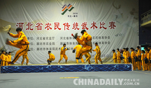 2016年河北省農民傳統武術比賽在文安縣拉開帷幕