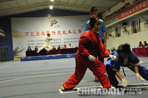 2016年河北省農民傳統武術比賽在文安縣拉開帷幕