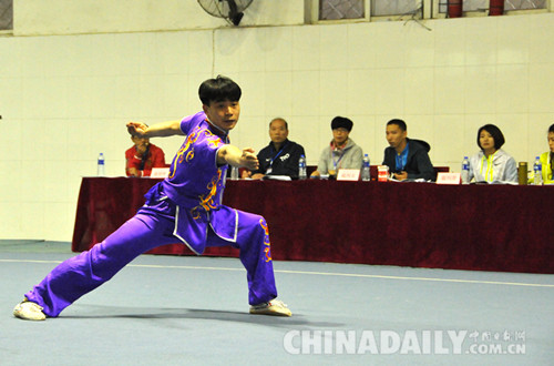 2016年河北省農民傳統(tǒng)武術比賽在文安縣拉開帷幕