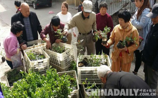 唐山文北街道“三個注重”提升轄區世園會周邊環境