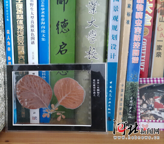 【網絡媒體走轉改】追記李保國教授:心之所在 魂歸太行