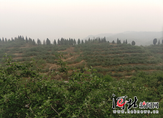 【網絡媒體走轉改】追記李保國教授:心之所在 魂歸太行