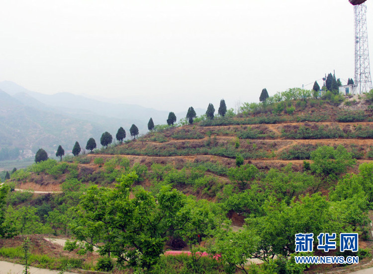 [網絡媒體走轉改]李保國：與巍巍太行相融 與山區百姓相依