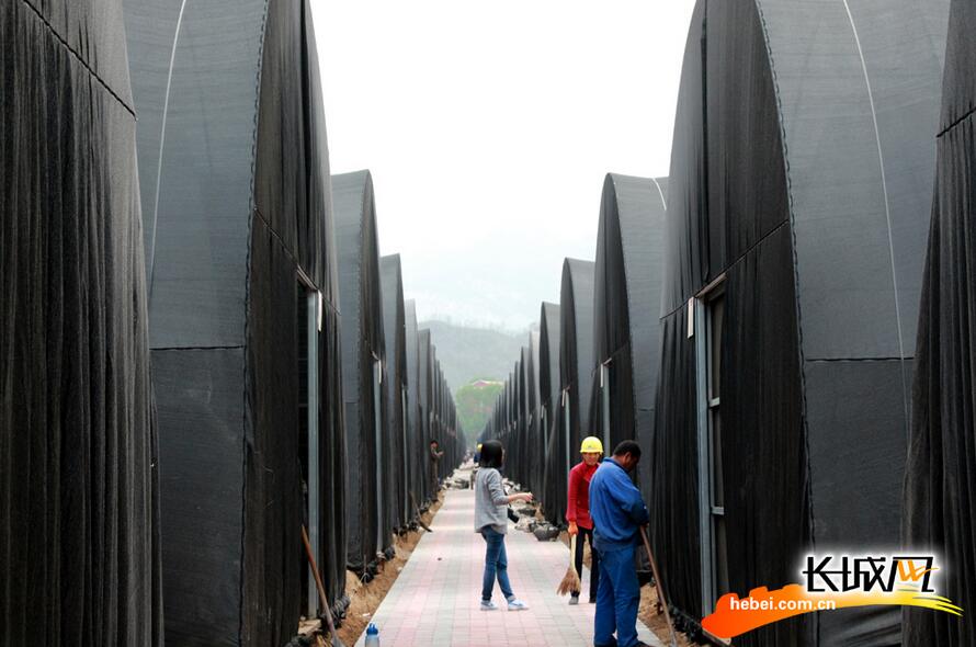 打好扶貧攻堅戰(zhàn):阜平變樣了