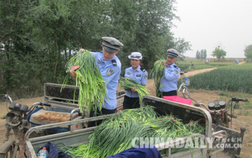 邯鄲雞澤交警下地“打蒜薹”扎實(shí)開展“兩學(xué)一做”活動(dòng)