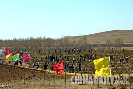 康保縣全力打贏造林攻堅戰