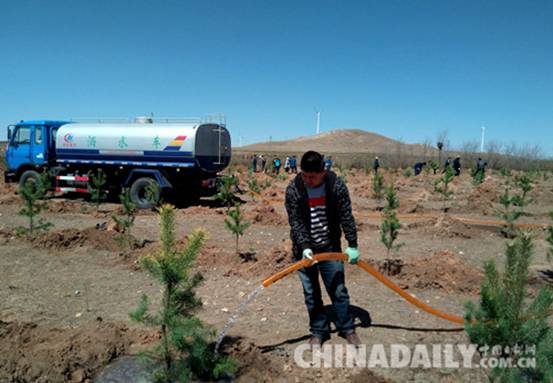 康保縣全力打贏造林攻堅戰