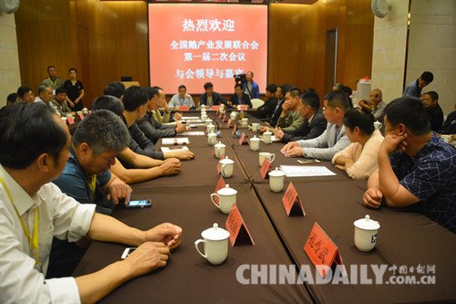 河北遷安“礦老板”轉型“養鵝達人”帶領農戶走上致富路