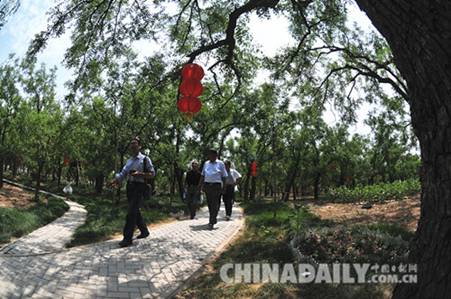 滄州黃驊舉辦堤柳百年棗林農民詩會