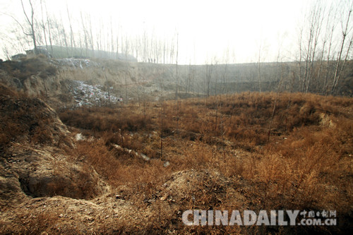河北館陶:讓“睡眠土地”迸發經濟活力