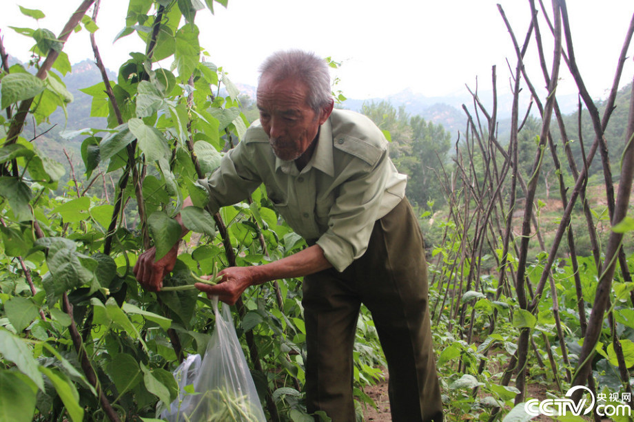 86歲老人一生講述王二小