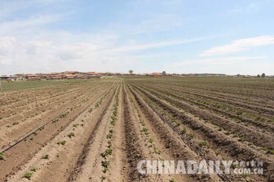 河北強化土地管理 推進土地節約集約利用