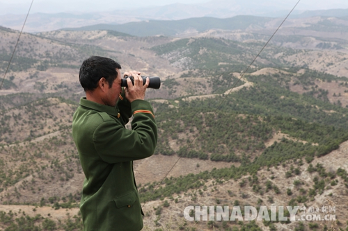 平泉:守望山巔的平凡護綠人