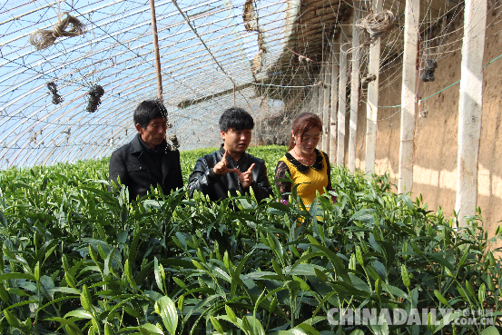 承德平泉縣做大現代農業推動農民致富增收