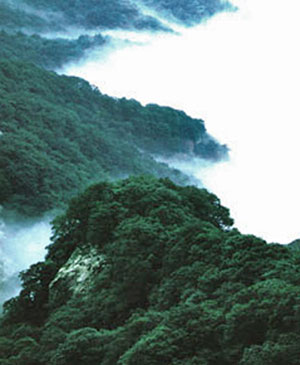 桐柏山：千里淮河發源地