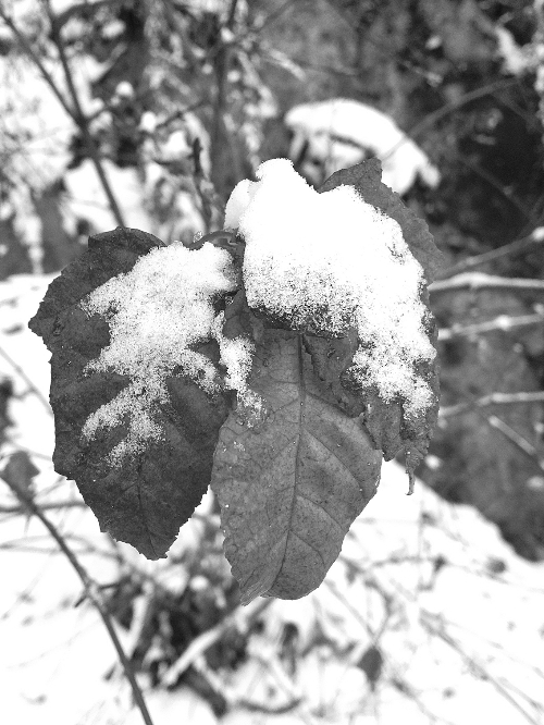 河南48小時內(nèi)連發(fā)50個天氣預(yù)警