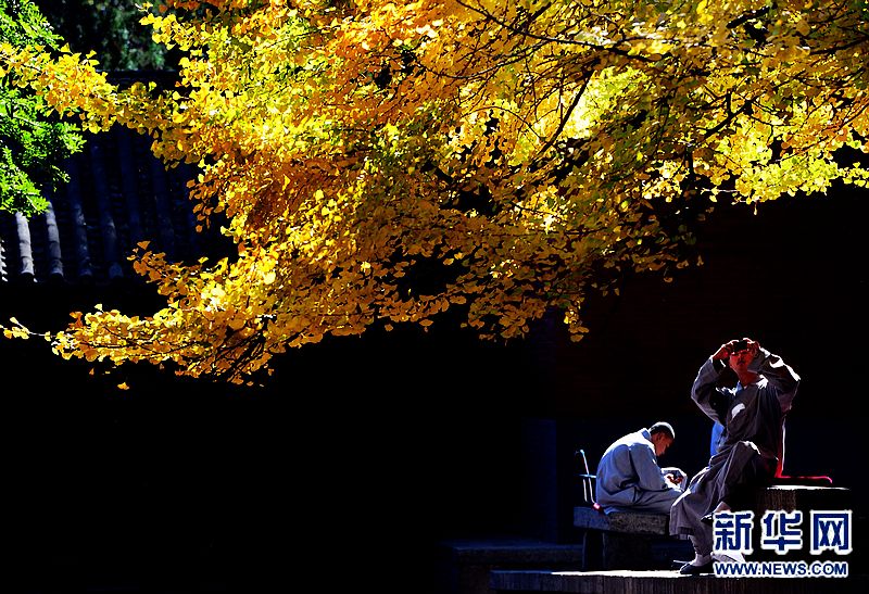 少林寺躋身“國保”單位