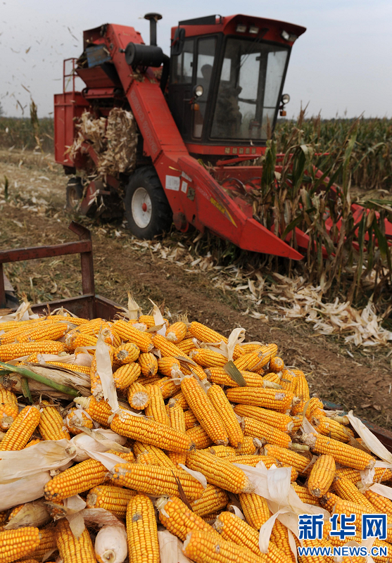 河南省秋收過(guò)六成