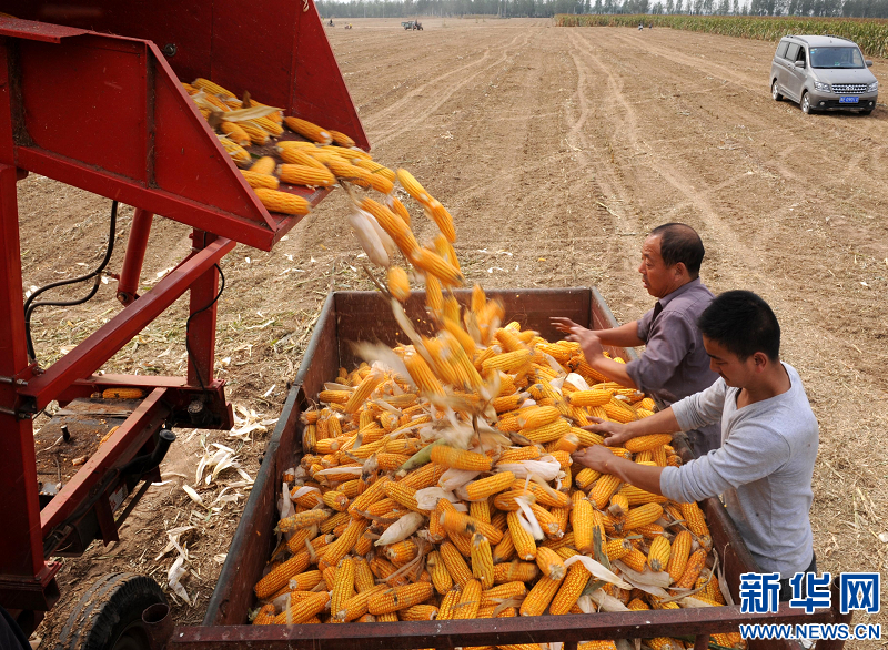 河南省秋收過六成