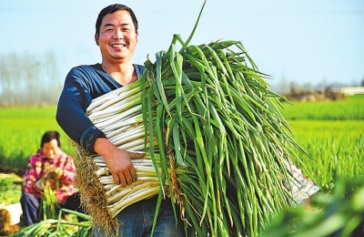 河南擬定貧困縣脫貧時間表 2019年貧困縣全“摘帽”