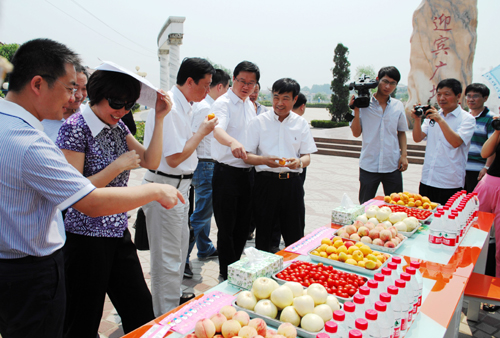 河南省僑聯“三化”協調發展主題觀摩會新密舉行