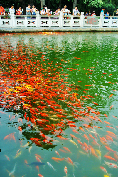 鄭州秋高氣爽 市民游園感受美景