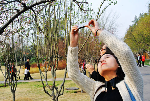 鄭州：陽春三月花爛漫