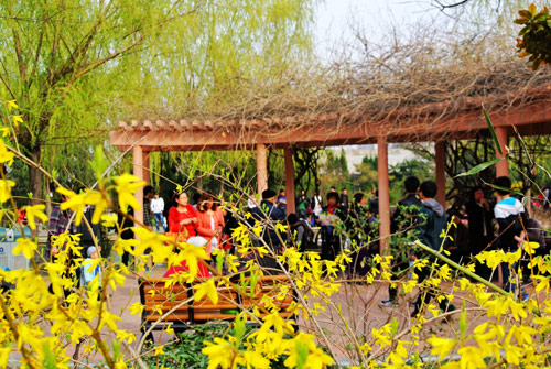 鄭州：陽春三月花爛漫