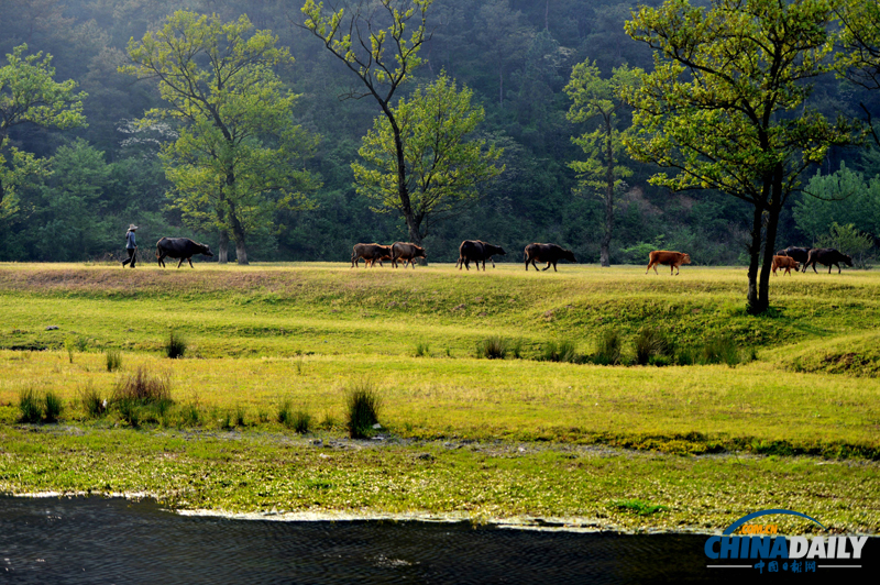 河南信陽：田園風光美景如畫卷