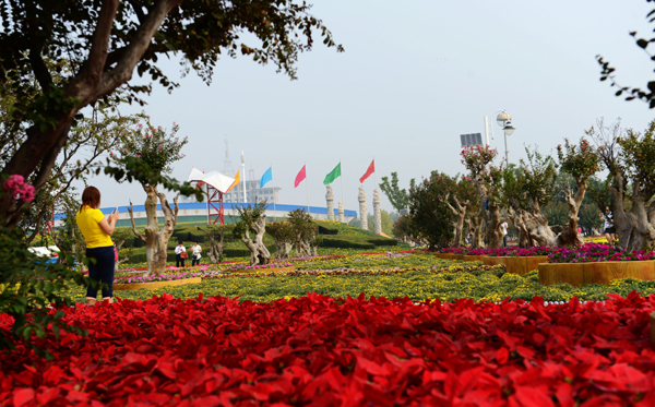 第十三屆中原花木交易博覽會在許昌鄢陵開幕