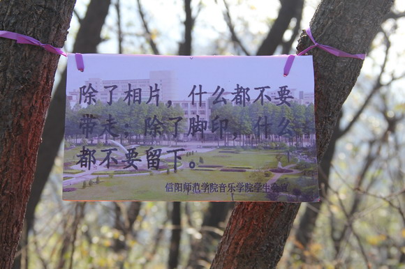 信陽師范學院音樂學院開展黨員環保社會實踐活動