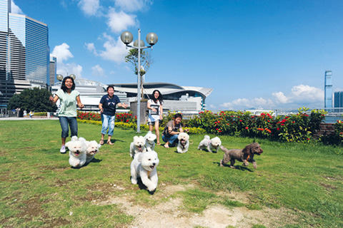 不一樣的亞洲國際都會——香港之優質生活篇