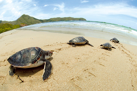 不一樣的亞洲國際都會——香港之優質生活篇