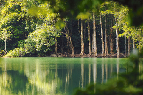 不一樣的亞洲國際都會(huì)——香港之優(yōu)質(zhì)生活篇